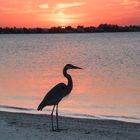 Sonnenuntergang auf Sanibel