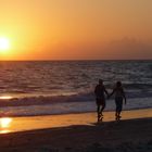 Sonnenuntergang auf Sanibel Island