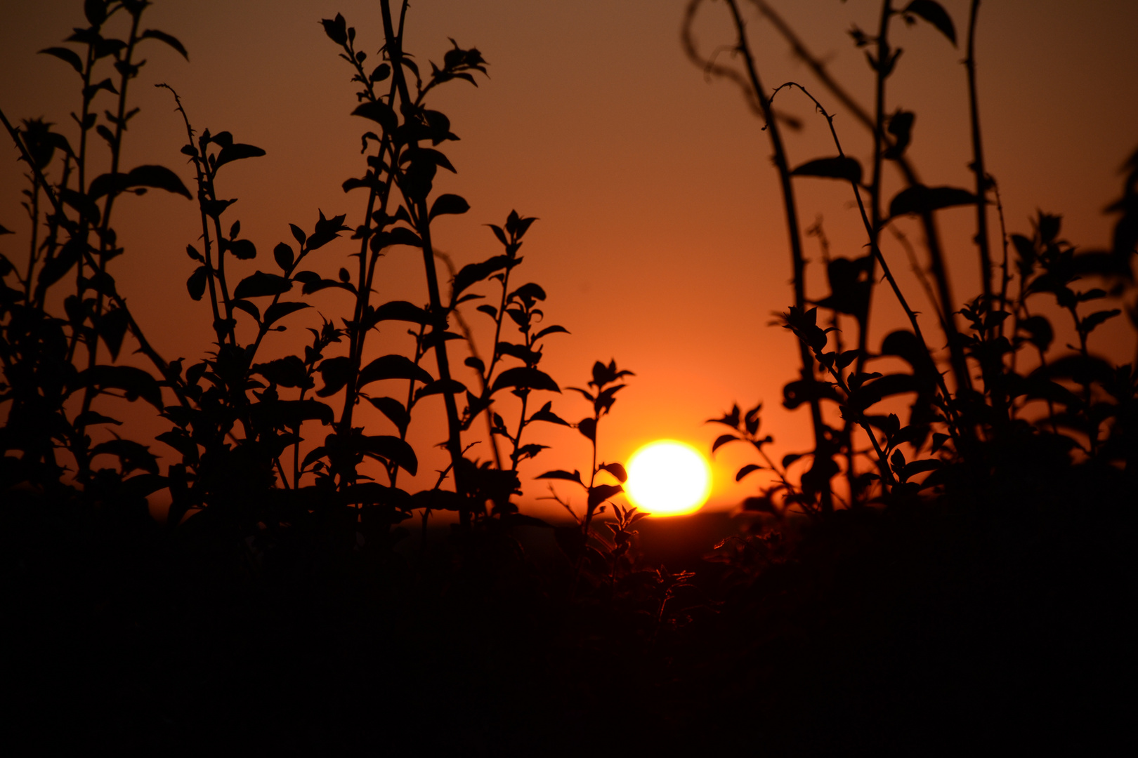 Sonnenuntergang auf Sardinien