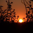 Sonnenuntergang auf Sardinien