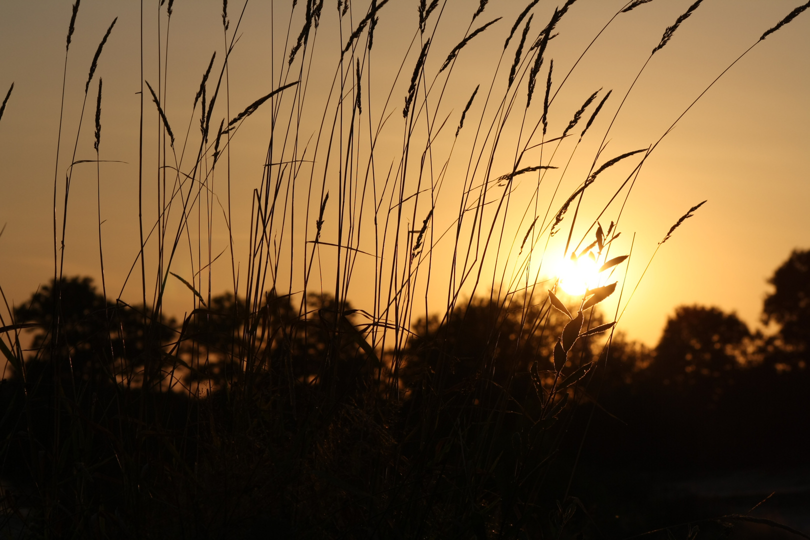 Sonnenuntergang auf Schloß Dankern