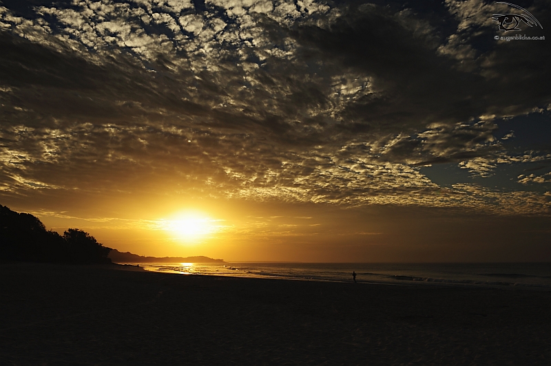 Sonnenuntergang auf Strandbroke Island