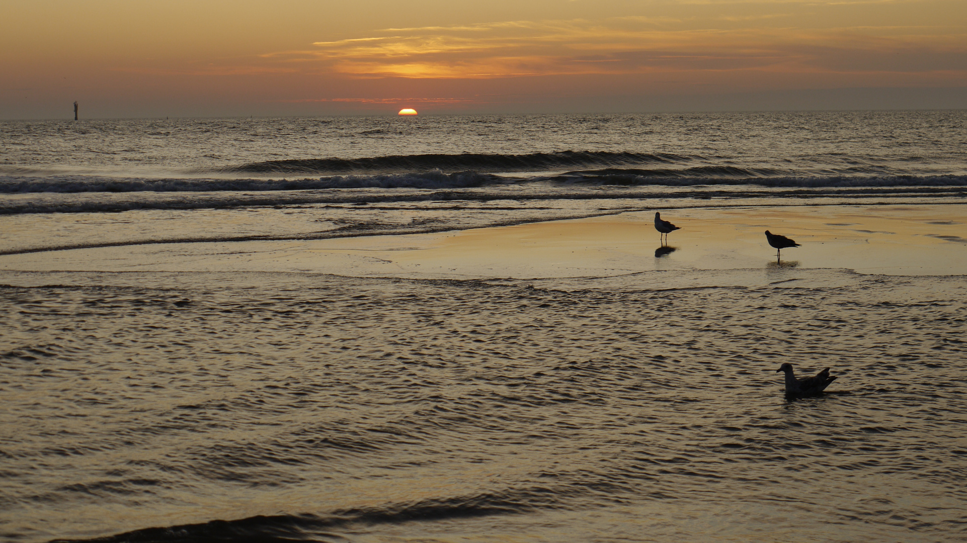 Sonnenuntergang auf Sylt