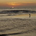 Sonnenuntergang auf Sylt