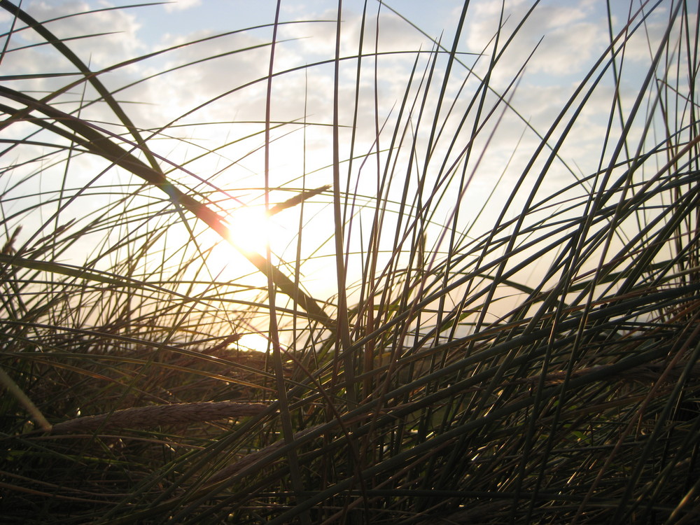 Sonnenuntergang auf Sylt