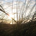 Sonnenuntergang auf Sylt