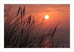 Sonnenuntergang auf Sylt