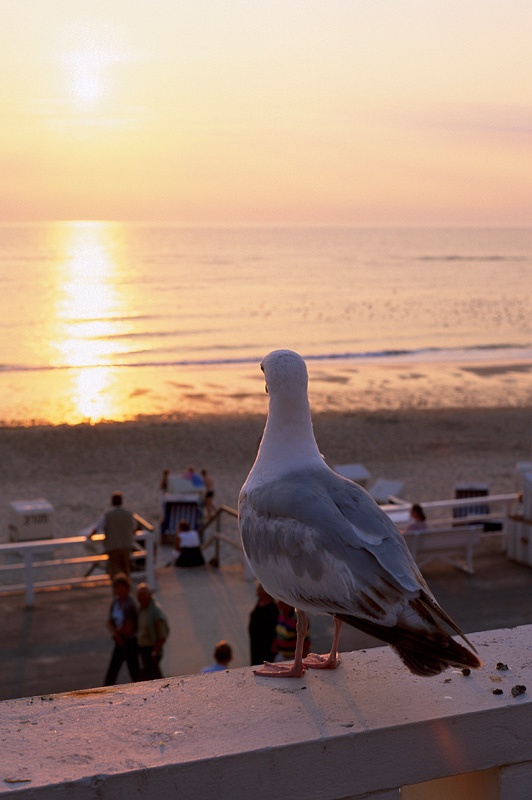 Sonnenuntergang auf Sylt