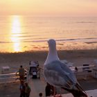 Sonnenuntergang auf Sylt