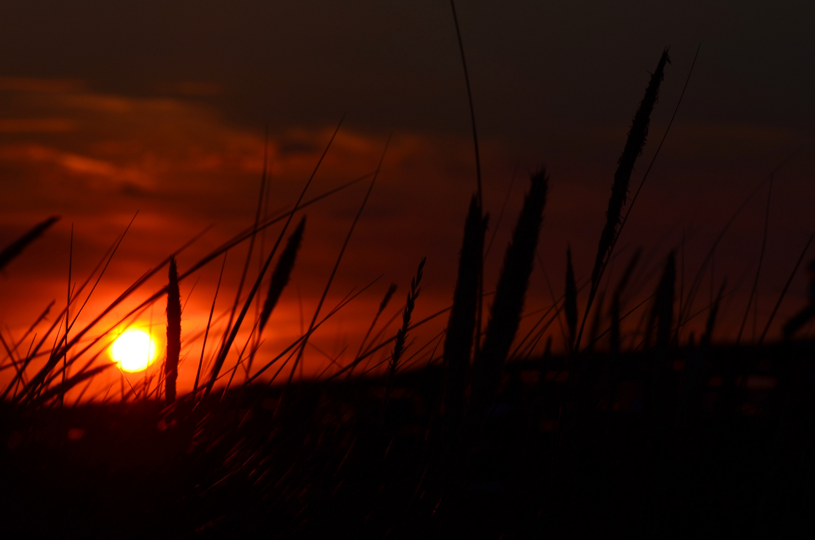 Sonnenuntergang auf Sylt