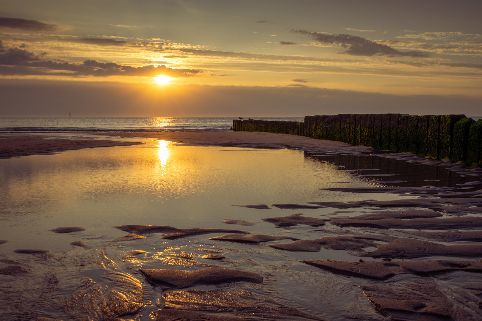 Sonnenuntergang auf Sylt