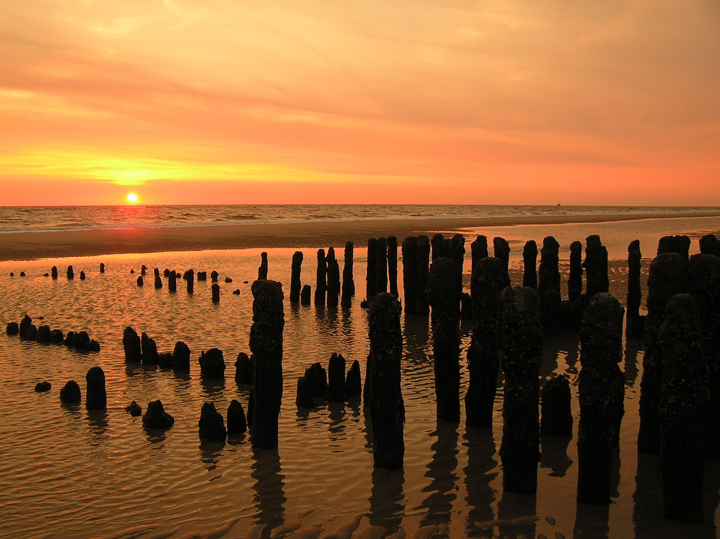 Sonnenuntergang auf Sylt