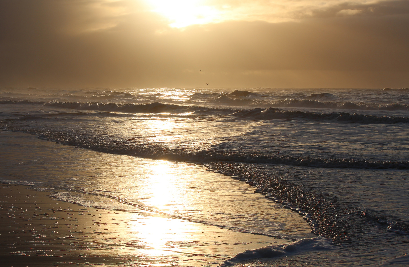 Sonnenuntergang auf Sylt