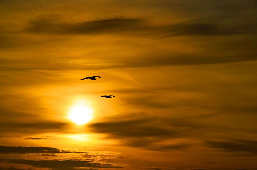 Sonnenuntergang auf Sylt