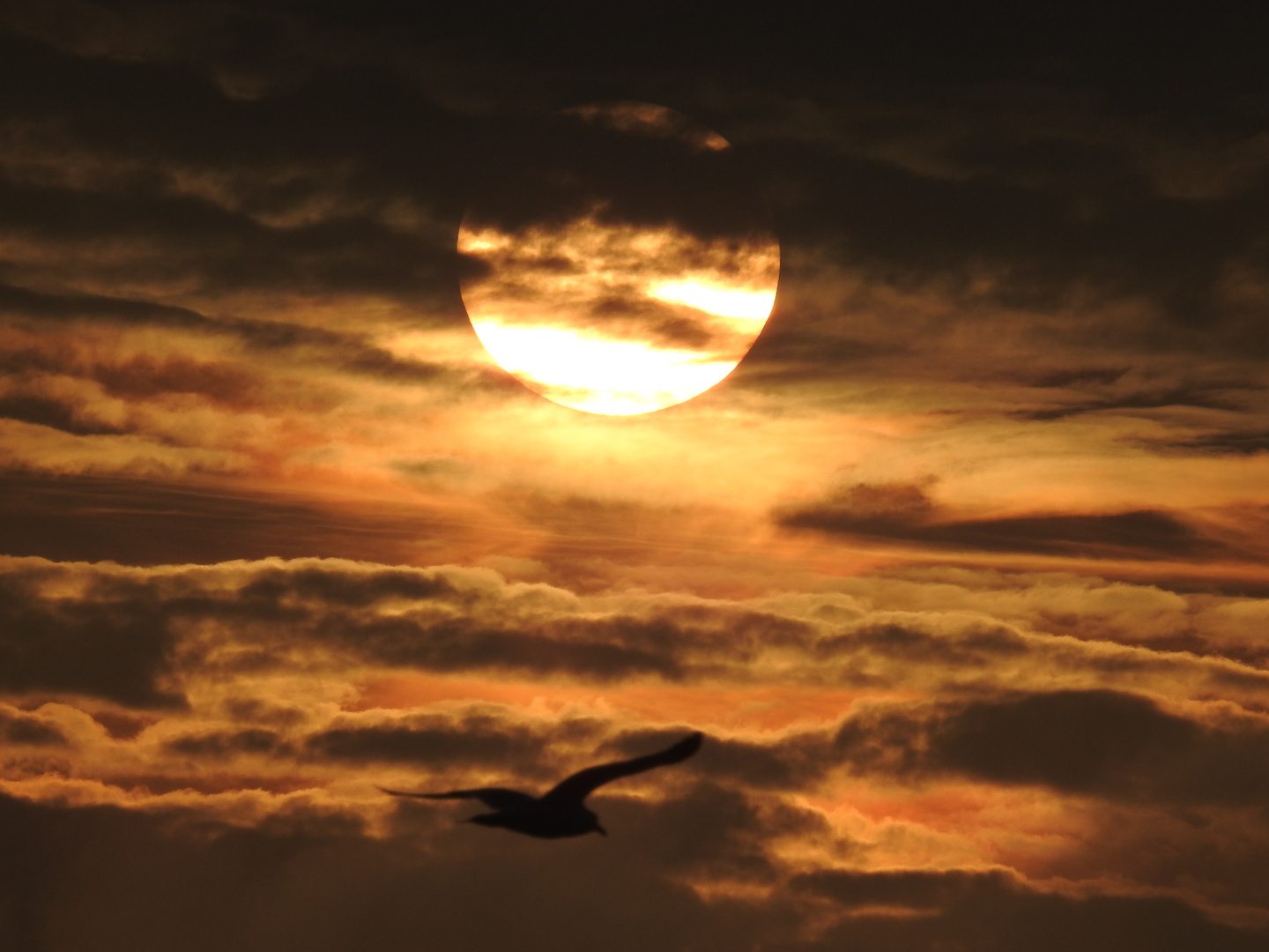 Sonnenuntergang auf Sylt