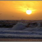 Sonnenuntergang auf Sylt Teil II