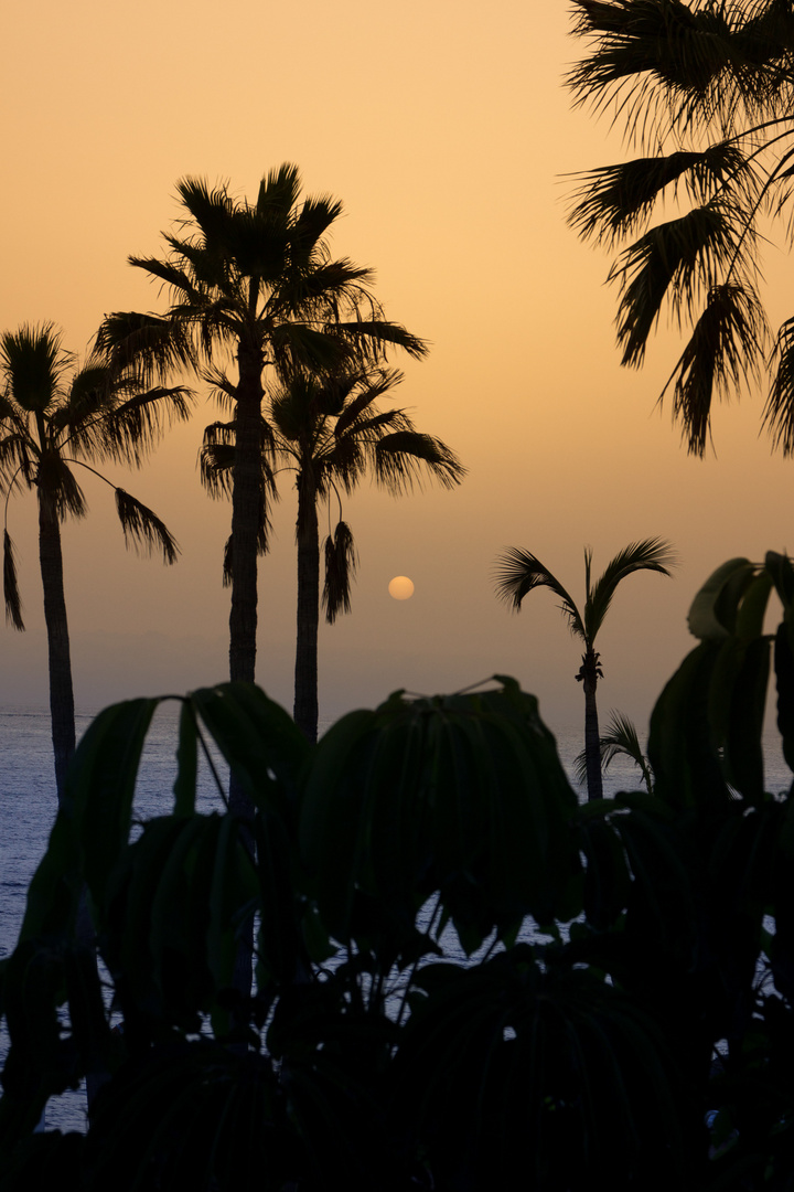 Sonnenuntergang auf Teneriffa 