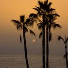 Sonnenuntergang auf Teneriffa