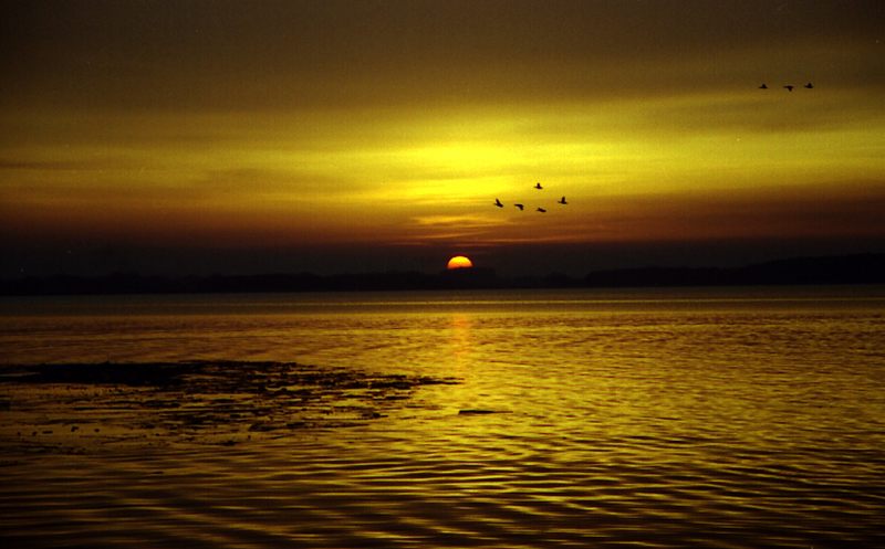 Sonnenuntergang auf Usedom