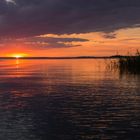 Sonnenuntergang auf Usedom