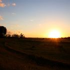 Sonnenuntergang auf Usedom