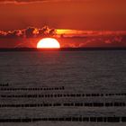 Sonnenuntergang auf Usedom