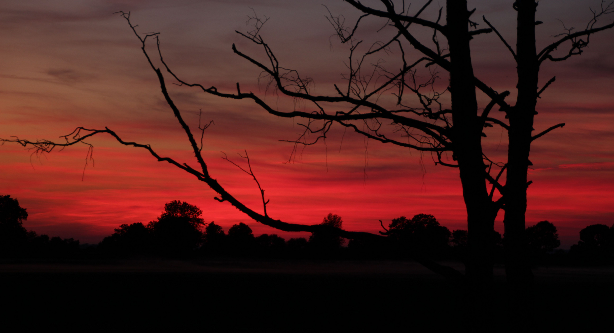 Sonnenuntergang auf Usedom