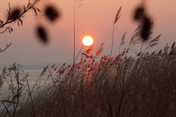 Sonnenuntergang auf Usedom