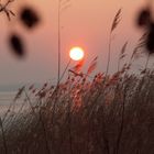 Sonnenuntergang auf Usedom