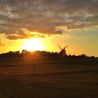 Sonnenuntergang auf Usedom