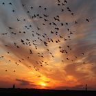 Sonnenuntergang auf Wangerooge