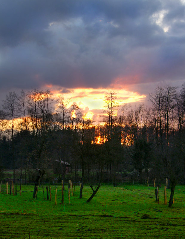 Sonnenuntergang auf westfälisch...