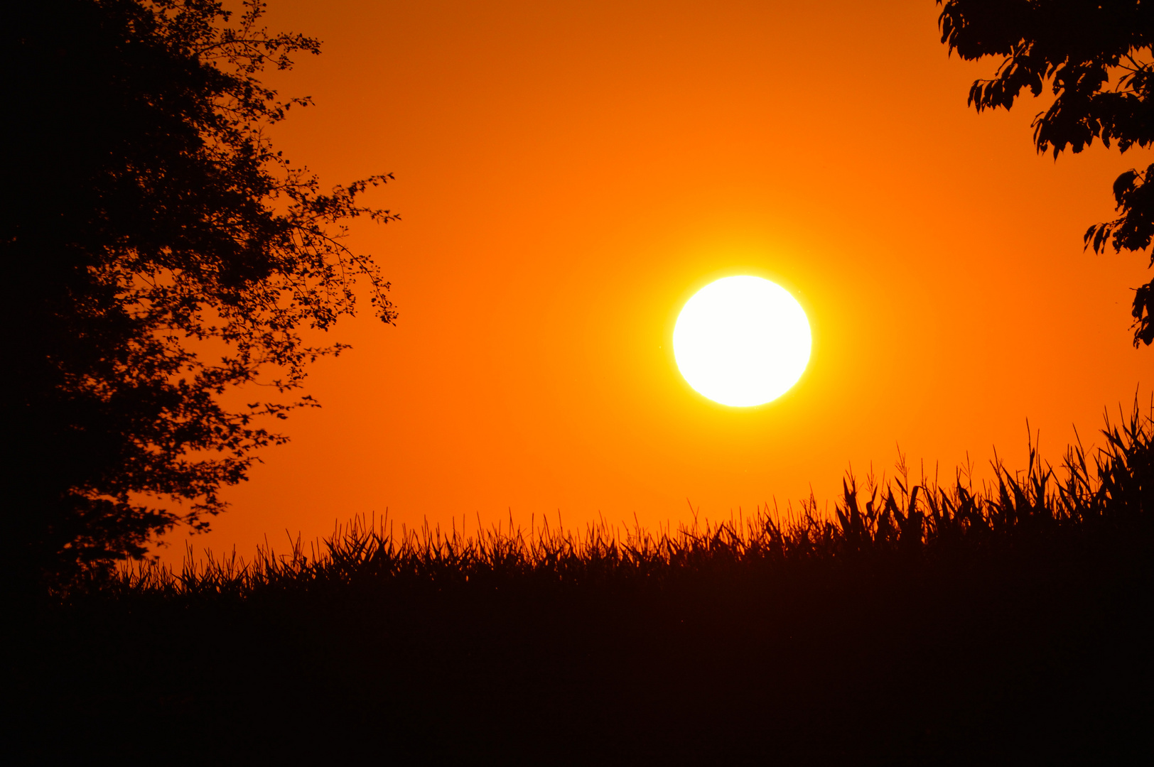 Sonnenuntergang August 2016