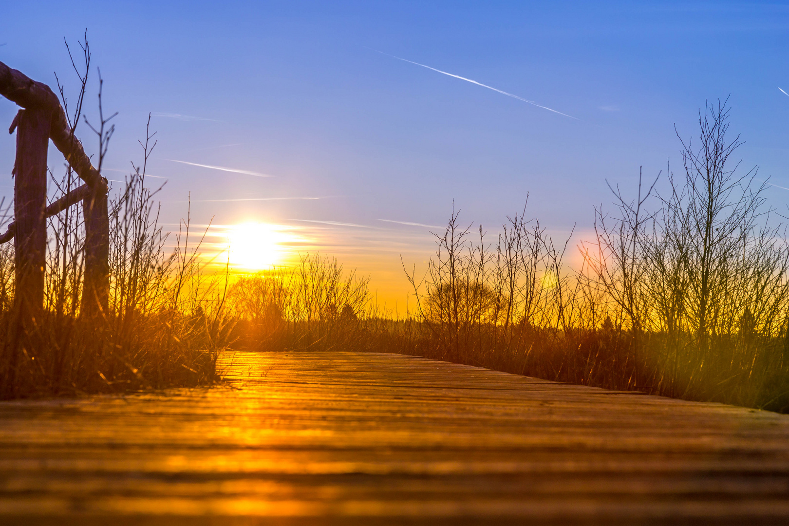 Sonnenuntergang aus der Froschperspektive