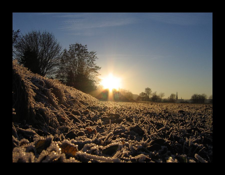 Sonnenuntergang aus der Perspektive einer Maus