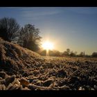 Sonnenuntergang aus der Perspektive einer Maus