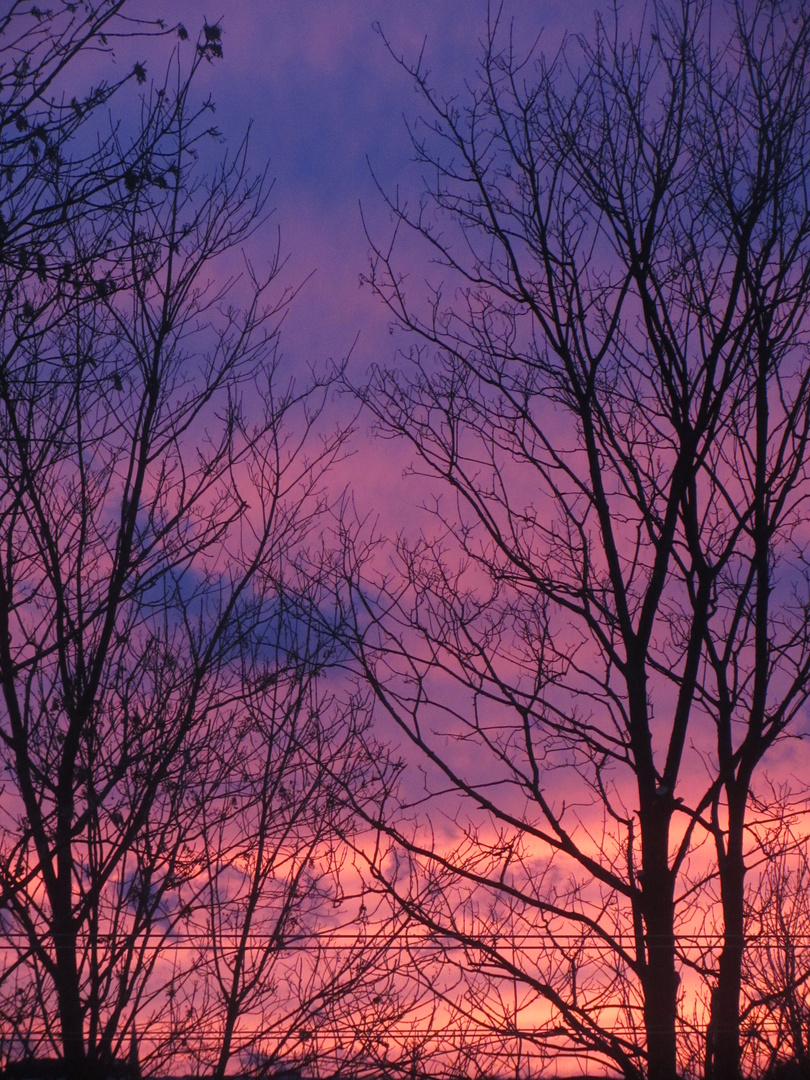 Sonnenuntergang aus meinem fenster part 2