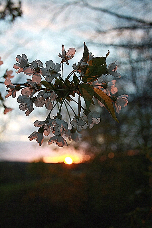 Sonnenuntergang