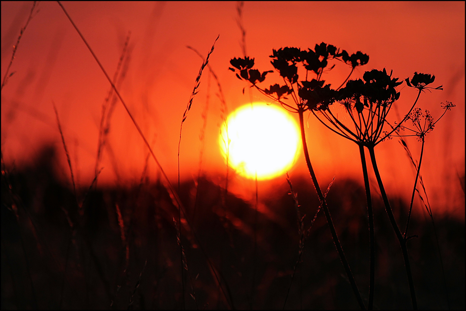 Sonnenuntergang