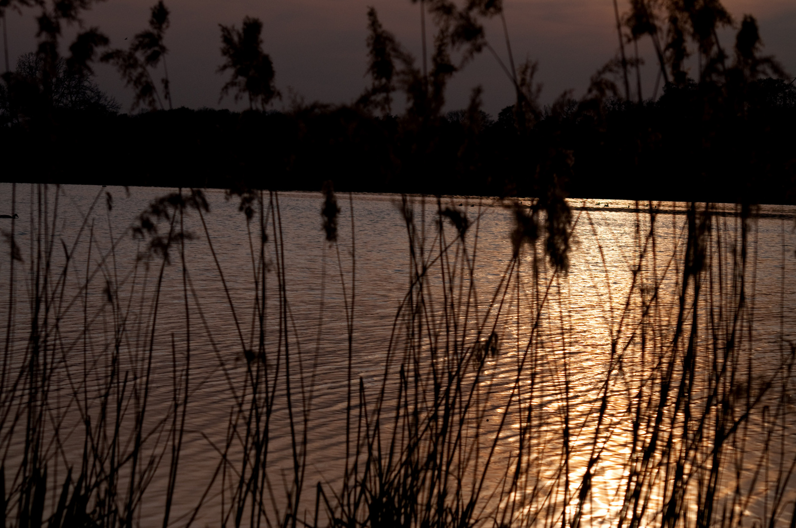 sonnenuntergang