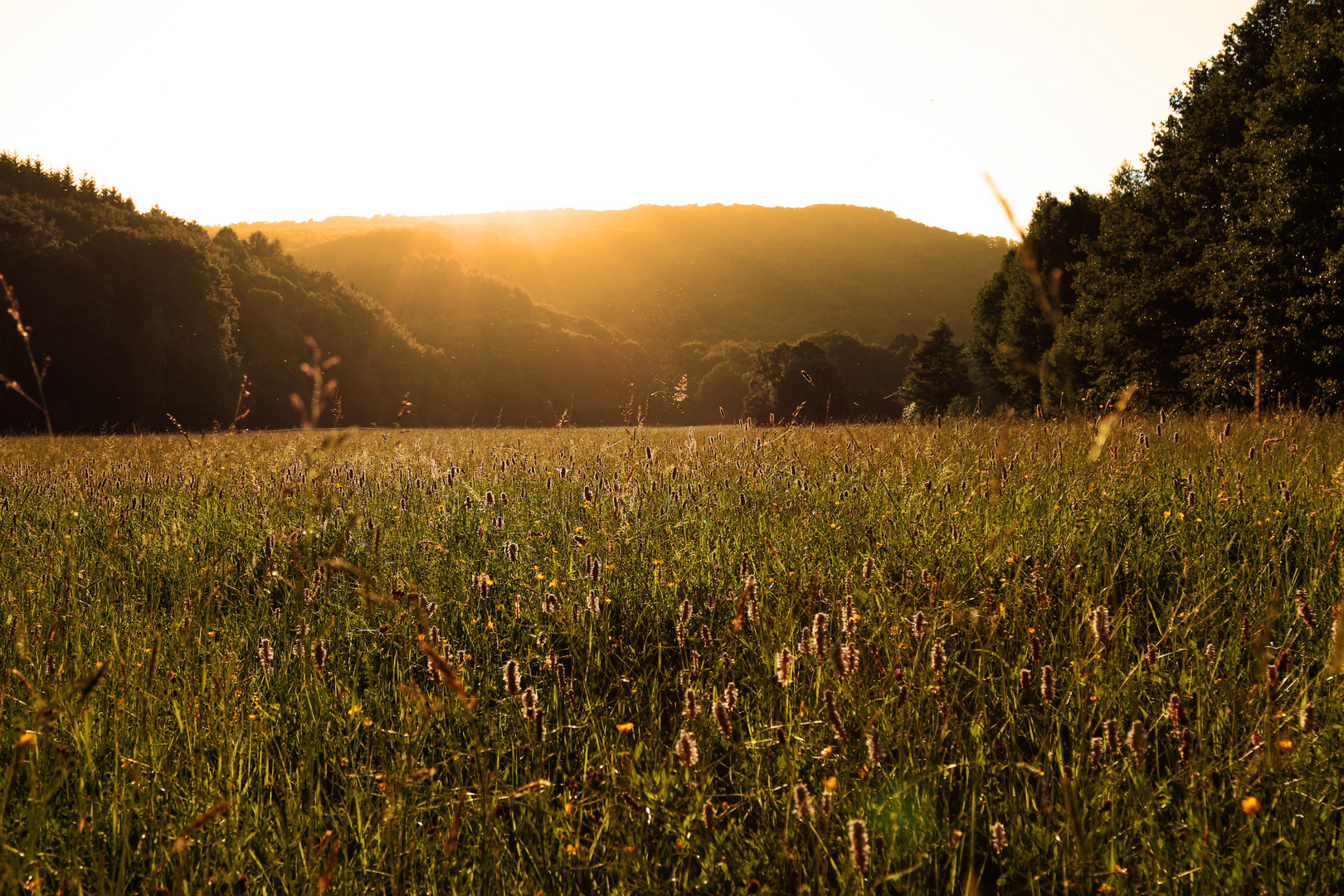 Sonnenuntergang