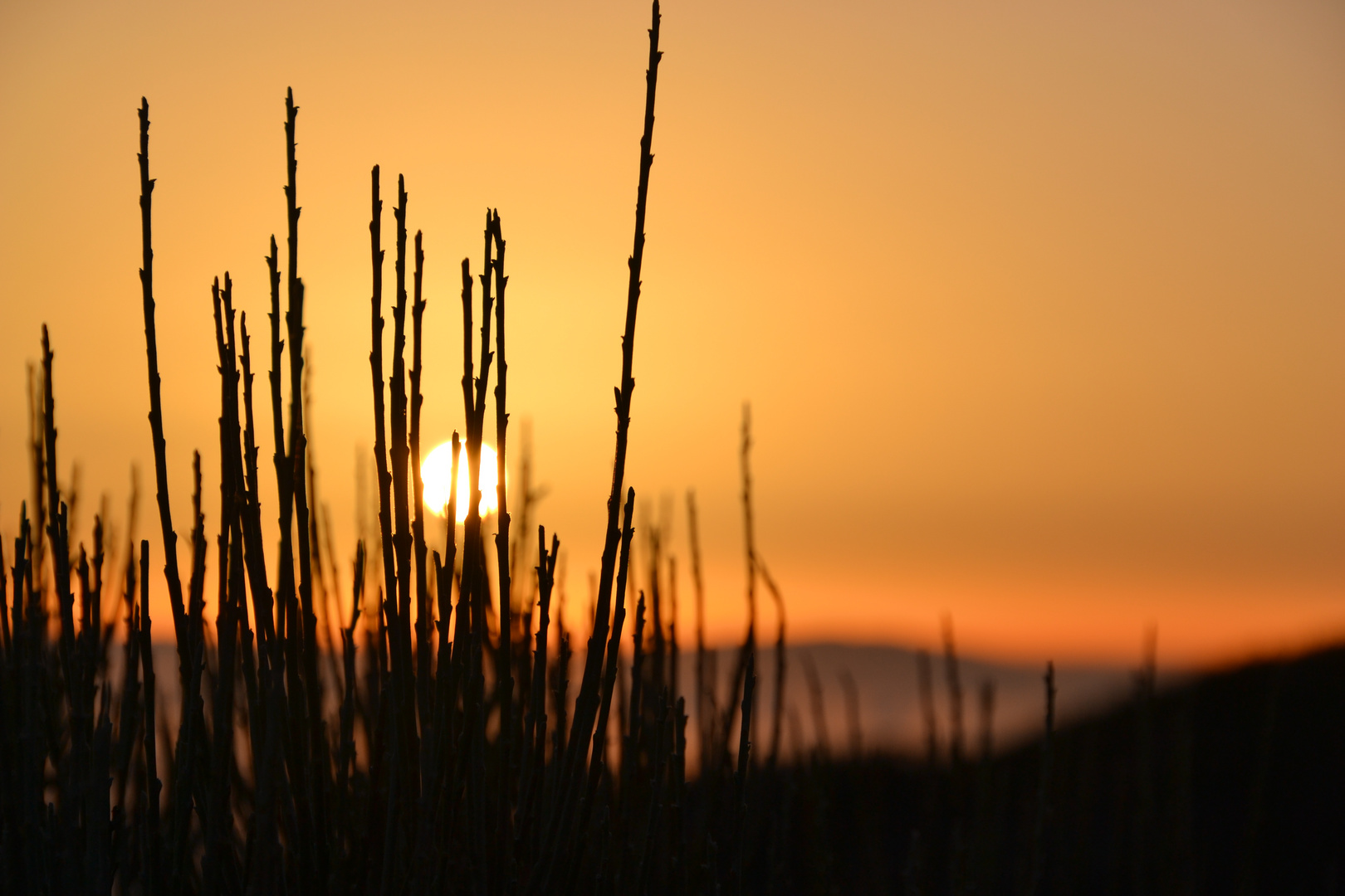 Sonnenuntergang