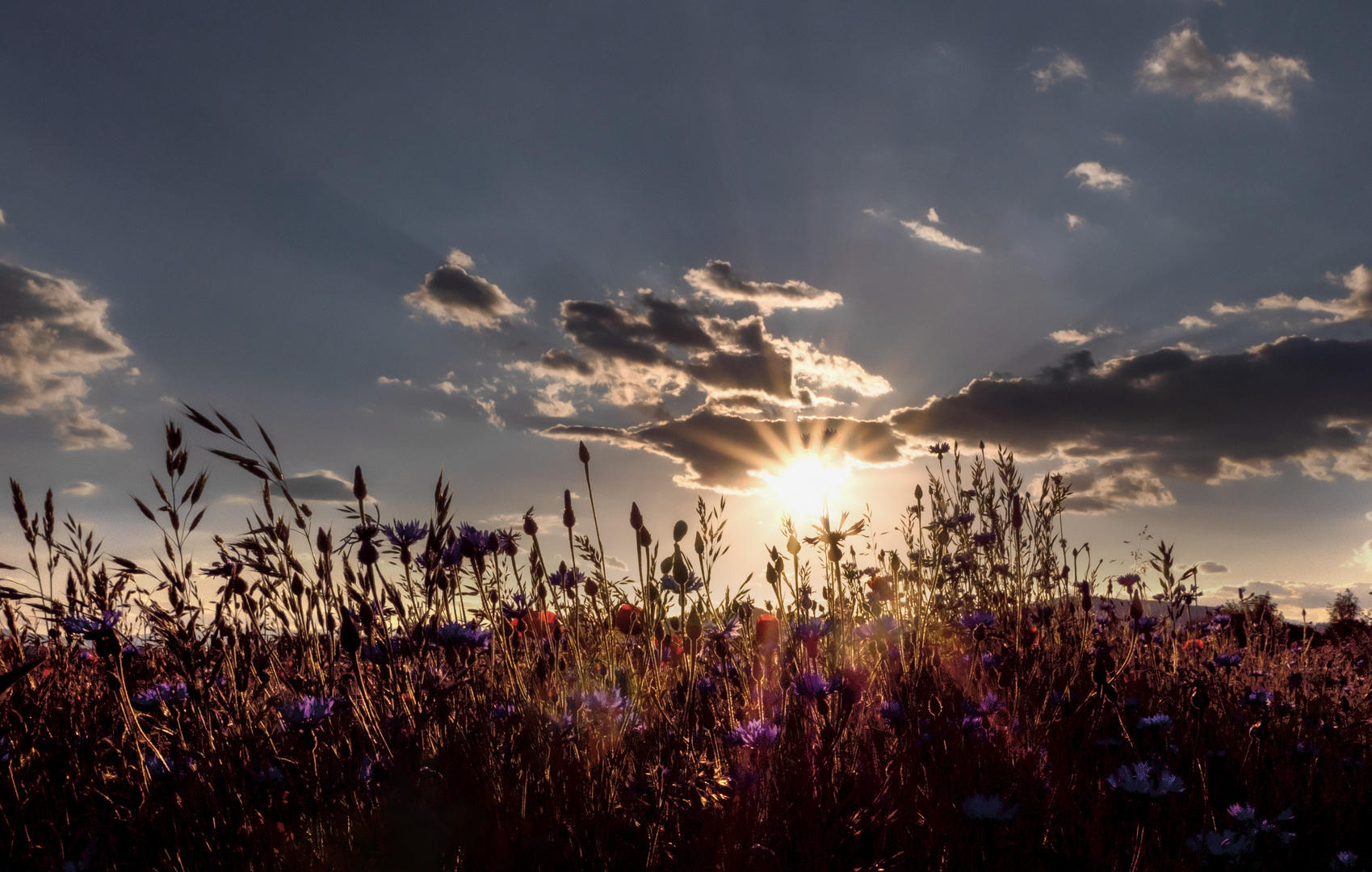 sonnenuntergang 