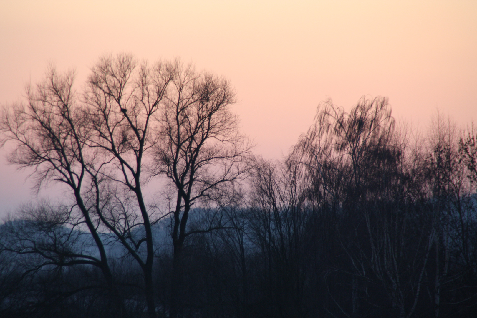 Sonnenuntergang Bad Staffelstein Febr.2012