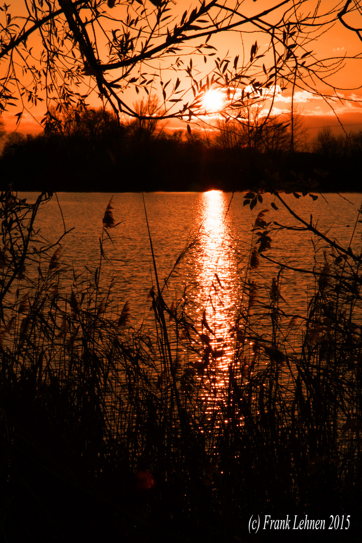 Sonnenuntergang, Badeweiher - Neuhofen