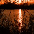 Sonnenuntergang, Badeweiher - Neuhofen