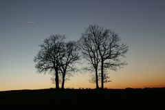 Sonnenuntergang "Bäume im Gegenlicht" oder...