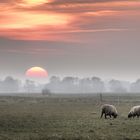 Sonnenuntergang Bagband