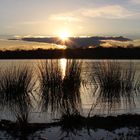 Sonnenuntergang Baggersee 2