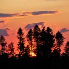 Sonnenuntergang Bannholz Waldkirchen